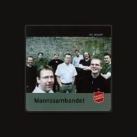 Mannssambandet
