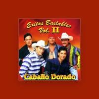 Caballo Dorado