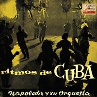 Saxofones
