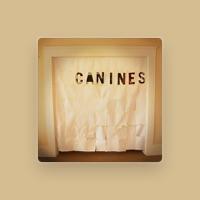 Canines