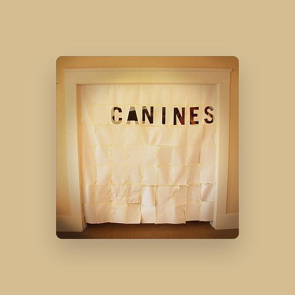 Canines