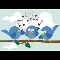 Birds of a Feather