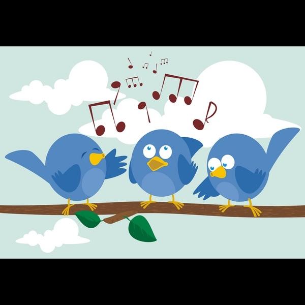 Birds of a Feather