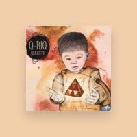Q-Biq