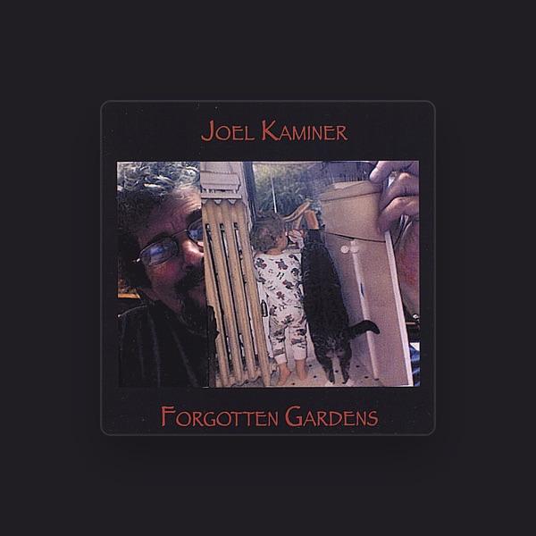 Joel Kaminer