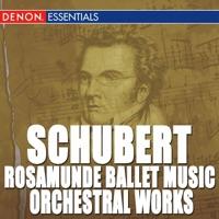 Concerto for Violin & Orchestra In D Major, D. 345 I. Adagio
