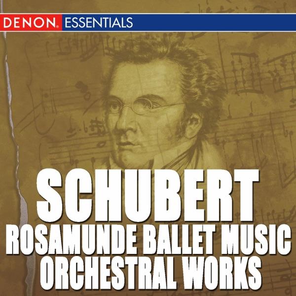 Concerto for Violin & Orchestra In D Major, D. 345 I. Adagio