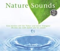 Variationen über ein Thema von Mozart