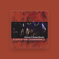 David Cross Band