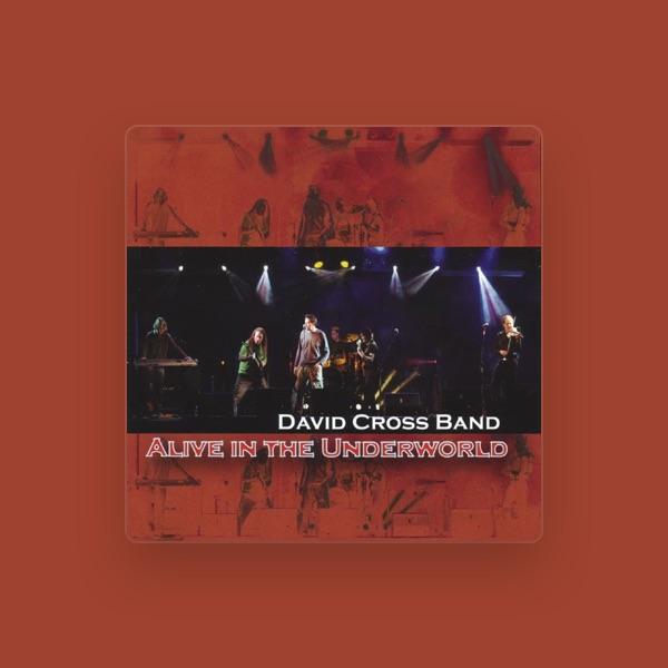 David Cross Band