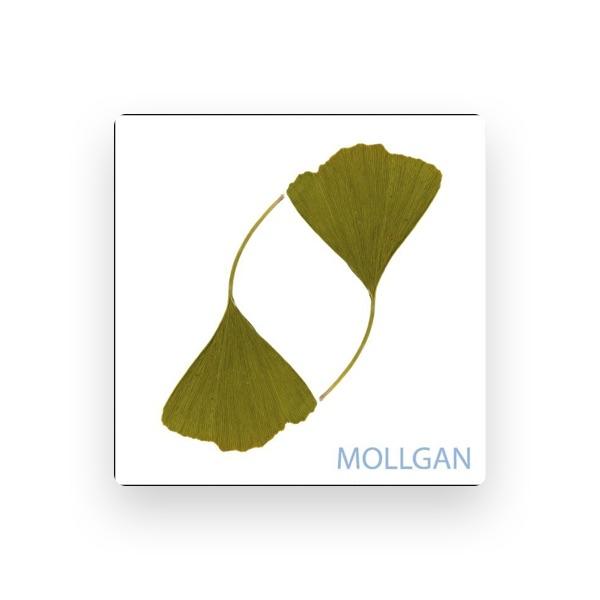 Mollgan