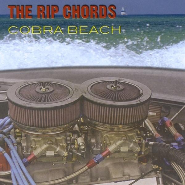 Cobra Beach-Live