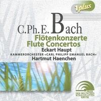 Flute Concerto in D minor, Wq. 22, H. 426: II. Un poco andante