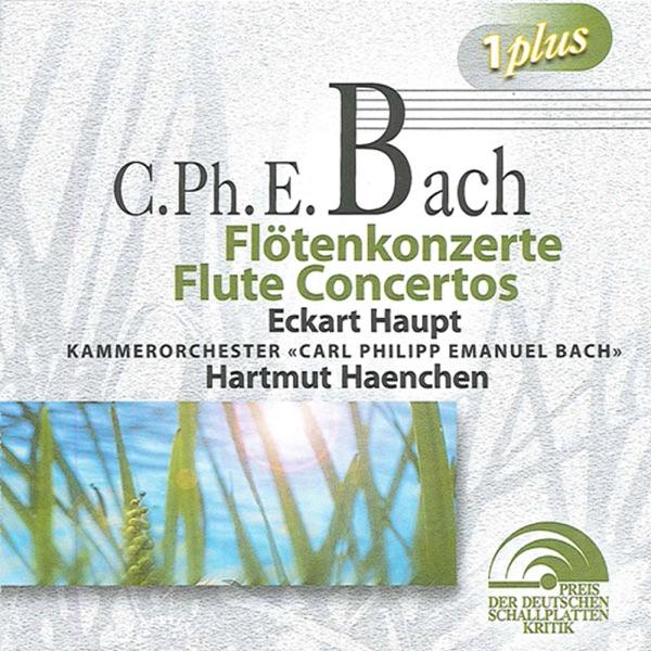 Flute Concerto in D minor, Wq. 22, H. 426: I. Allegro