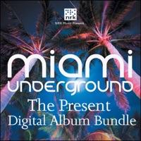 The Theme 2008 (Version Mix) [Version Mix]