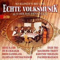 Tanzlmusi-Polka