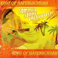 2 Tickets nach Hawaii (Instrumental Edit)