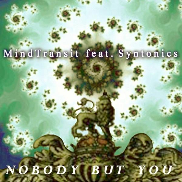 Nobody But You (BeatKraft Remix) [feat. Syntonics & KRL]