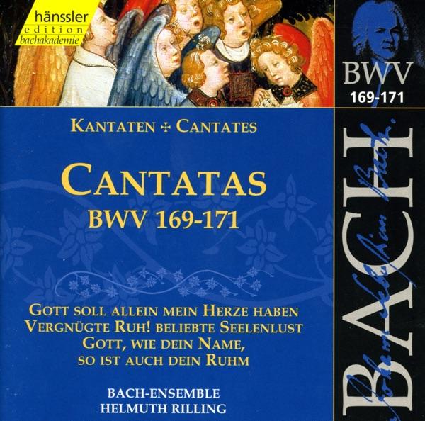 Gott Soll Allein Mein Herze Haben, BWV 169: Aria: Gott Soll Allein Mein Herze Heben (Alto)