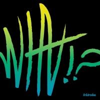 What!? (Modek Remix)