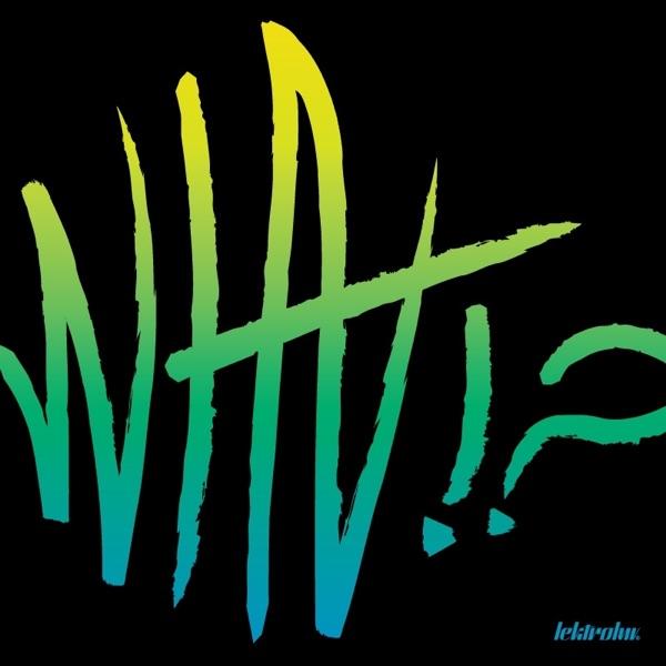 What!? (Nickel Remix)