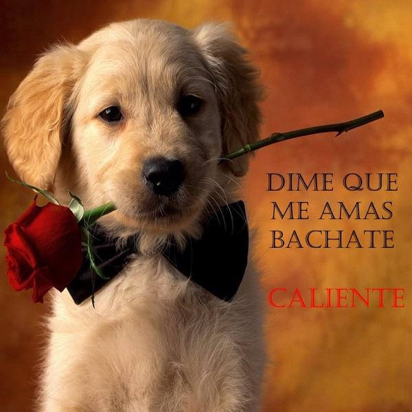 Quiero Que Me Perdones