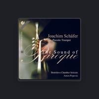 Bratislava Chamber Soloists
