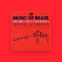 Mestre Acordeon