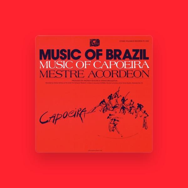 Mestre Acordeon