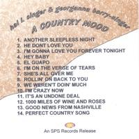 Perfect Country Song
