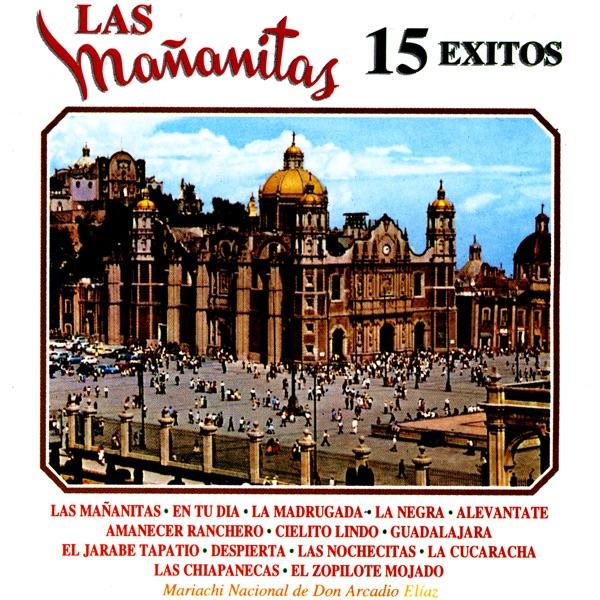 Las Chiapanecas