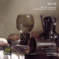 Cantate, BWV 199 : Aria No. 3 Wie, zitern und wenken