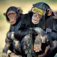 Mad Monkey (Eli Escobar Remix)