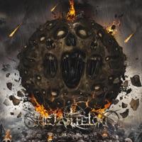 A Cathedral of Flesh and Fluids (Bonus Track)