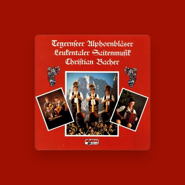 Tegernseer Alphornbläser