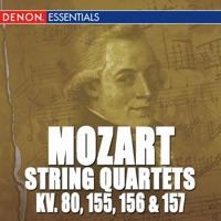 String Quartet No. 2 In D Major, K. 155: II. Andante