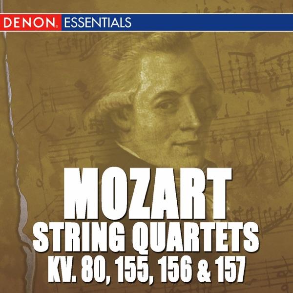 String Quartet No. 1 In G Major, K. 80: I. Adagio