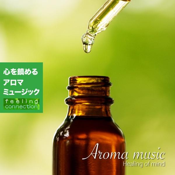 ワンダラー