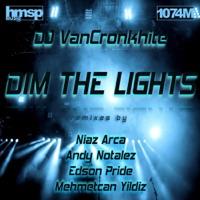 Dim the Lights (Niaz Arca Remix)