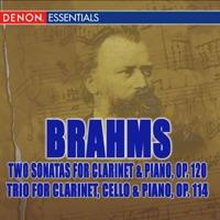 Trio for Clarinet, Cello, and Piano in A Minor, Op. 114: III. Andantino Grazioso