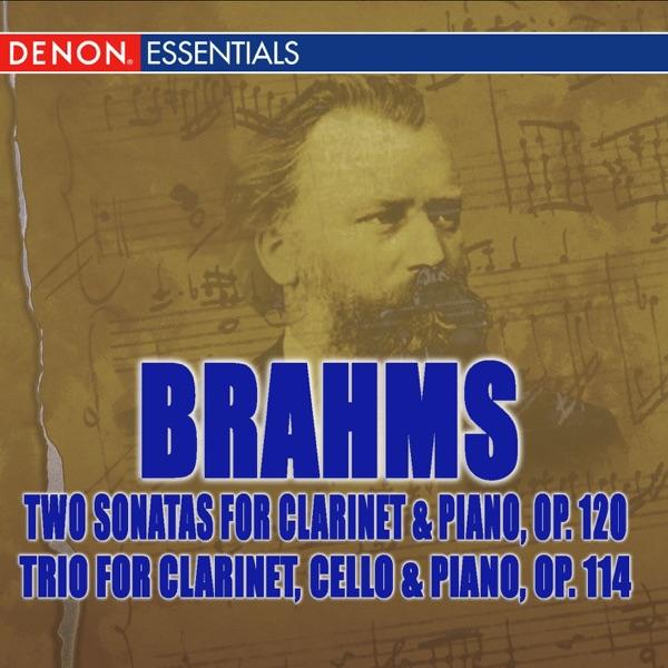 Trio for Clarinet, Cello, and Piano in A Minor, Op. 114: I. Allegro