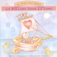 La branche d'olivier et la lampe