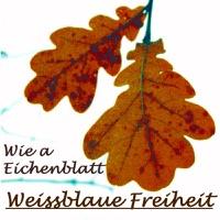 Wie a Eichenblatt (Radioversion)