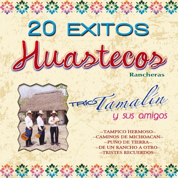 Mi Gusto Es