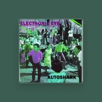 Electronic Eye