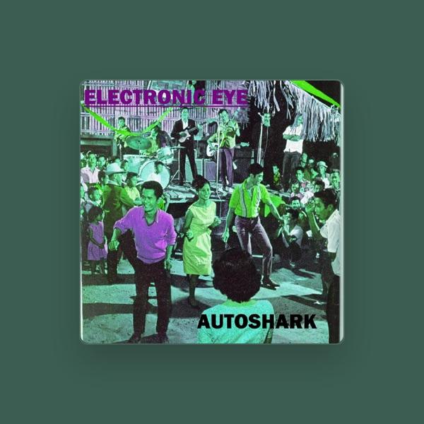 Electronic Eye