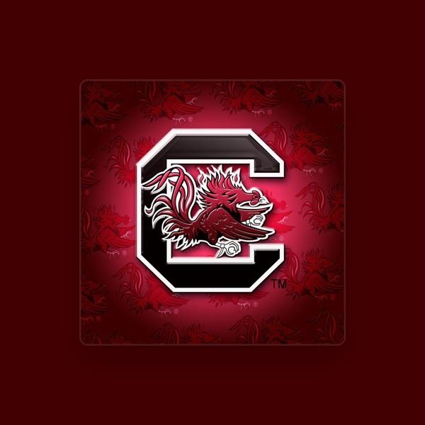 Univerisity of South Carolina Marching Band