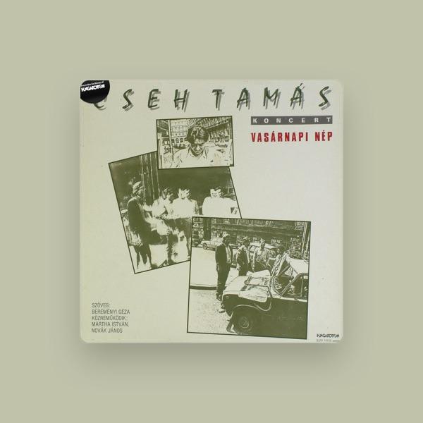 Tamás Cseh