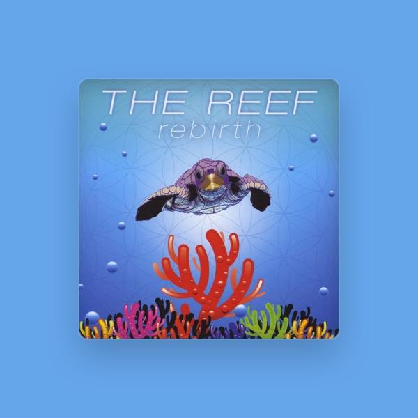 The Reef