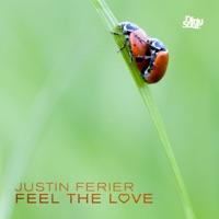 Feel the Love (High Spies Dub Mix)